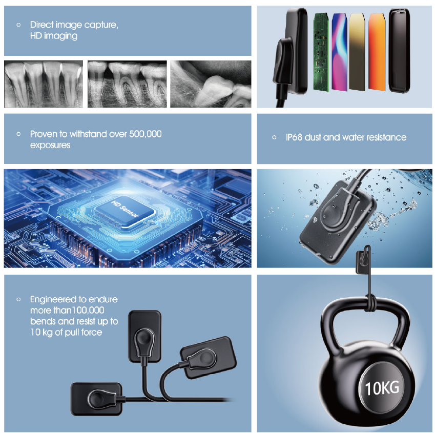 New Arrival Digital RVG Intrao - Tech Accessories Images reseña y precio